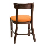European Beechwood Wood Dining Chair - FLS-09S - Back