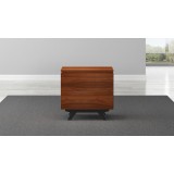 Furnitech Signature Home 24" Mid-Century Modern End Table in Iron Wood -Closed