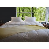 All Season Silver Antimicrobial White Goose Down Alternative Comforter - King