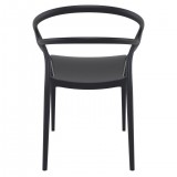 Compamia Mila Dining Arm Chair (Black) - Back