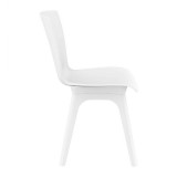 Compamia Mio PP Modern Dining Chair - White with White Legs