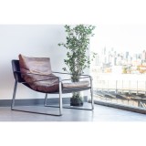 Moe's Home Collection Connor Club Chair - Brown - Lifestyle