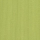 Spectrum Kiwi - Fabric Swatch