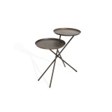 Bellini Modern Living Python End Table - Bronze