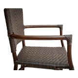 Hand Painted Aluminum Frame Arm Chair - RT-04 - Arm