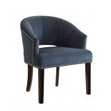 Silver Nail Head Trim And Dark Espresso Legs - Azure Velvet Fabric
