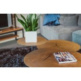 Oakley 12" Low Coffee Table In Oak Veneer - Lifestyle