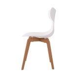Leisure D With Tan PP Stand Dinning Chair - White - Side