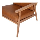 Harper Leather Lounge Chair Tan - Seat Arm Close-Up