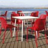 Outdoor Dining Chair - Red  - Outdoor Dining Chair - Red 