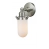 Satin Brushed Nickel - Matte White Cased Glass