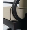 Seat Arm