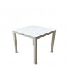 Dining Table (White) - Front