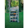 4-tier Greenhouse - Actual