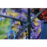 4-tier Greenhouse - Top Edge