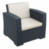 Monaco Resin Patio Club Chair with Cushion - Dark Gray - Monaco Resin Patio Club Chair with Cushion - Dark Gray