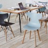 Leisure D With Tan PP Stand Dinning Chair - Lifestyle - Mint - Leisure D With Tan PP Stand Dinning Chair - Lifestyle - Mint