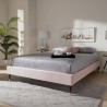 Baxton Studio Volden Queen Size Platform Bed Frame - Light Pink - Baxton Studio Volden Queen Size Platform Bed Frame - Light Pink