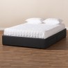 Baxton Studio Leni Upholstered Platform Storage Bed Frame - Dark Grey - Baxton Studio Leni Upholstered Platform Storage Bed Frame - Dark Grey
