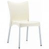Juliette Resin Dining Chair - Juliette Resin Dining Chair