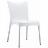 Juliette Resin Dining Chair - Juliette Resin Dining Chair