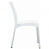 Juliette Resin Dining Chair - Juliette Resin Dining Chair