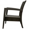 Miami Resin Club Chair - Set of 2 - Brown - Side - Miami Resin Club Chair - Set of 2 - Brown - Side