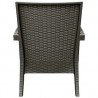 Miami Resin Club Chair - Set of 2 - Brown - Back - Miami Resin Club Chair - Set of 2 - Brown - Back
