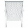 Miami Resin Club Chair - Set of 2 - White - Back - Miami Resin Club Chair - Set of 2 - White - Back
