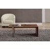 Coffee Table - Light Walnut with Brushed Stainless Steel - Coffee Table - Light Walnut with Brushed Stainless Steel