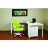 Calvin Office Chair - Green  - Calvin Office Chair - Green 