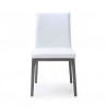 Stella Dining Chair With White Faux Leather - Front - Stella Dining Chair With White Faux Leather - Front