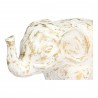 Kinga The Elephant - Close-Up