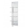 Blake Small Bookshelf/Divider - Angled view - Blake Small Bookshelf/Divider - Angled view