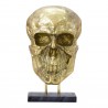Braincase Skull Statue Gold - Front