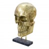 Braincase Skull Statue Gold - Angled