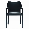Diva Resin Outdoor Dining Arm Chair Black - Diva Resin Outdoor Dining Arm Chair Black