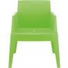 Box Resin Outdoor Dining Arm Chair - Tropical Green - Box Resin Outdoor Dining Arm Chair - Tropical Green