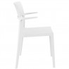 Plus Arm Chair White - Side - Plus Arm Chair White - Side