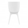 Compamia Mio PP Modern Dining Chair - White with White Legs - Compamia Mio PP Modern Dining Chair - White with White Legs