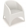 Aruba Resin Wickerlook Chair - White - Aruba Resin Wickerlook Chair - White