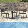 Capri Resin Dining Arm Chair - Brown - Set - Capri Resin Dining Arm Chair - Brown - Set