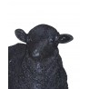 Dolly Sheep Statue Black - Close-up View