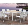 Whiteline Modern Living Cannes Indoor / Outdoor Dining Armchair - Set of 4 - Whiteline Modern Living Cannes Indoor / Outdoor Dining Armchair - Set of 4
