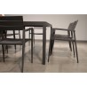 Whiteline Modern Living Venice Indoor / Outdoor Dining Armchair - Set of 4 - Whiteline Modern Living Venice Indoor / Outdoor Dining Armchair - Set of 4