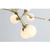 Light Details