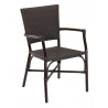 Hand Painted Aluminum Frame Arm Chair - RT-04 - Black - Hand Painted Aluminum Frame Arm Chair - RT-04 - Black