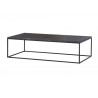 Onix Rectangular Coffee Table Black - Angled View